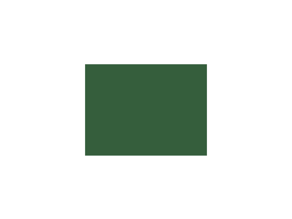 tischset airlaid dunkelgrün 30x40cm