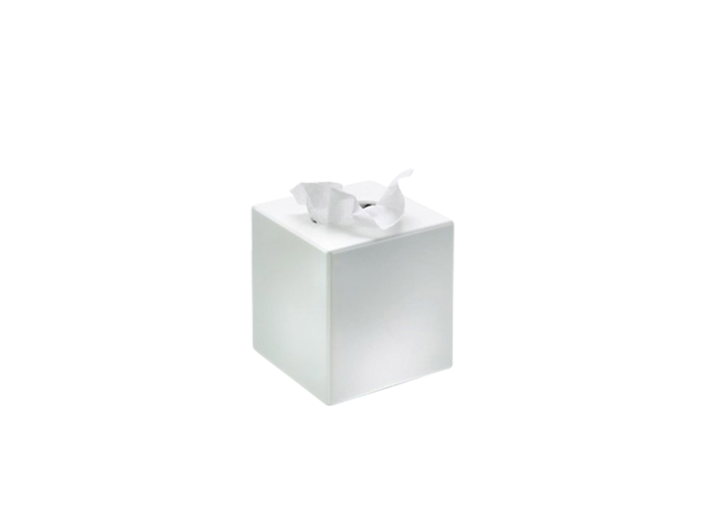 cosmetic tissue box cubo
